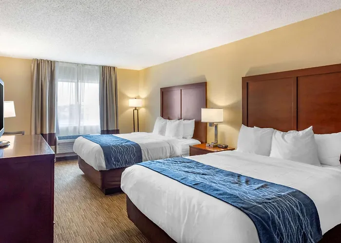 Hotel Comfort Near Casino District Rockford