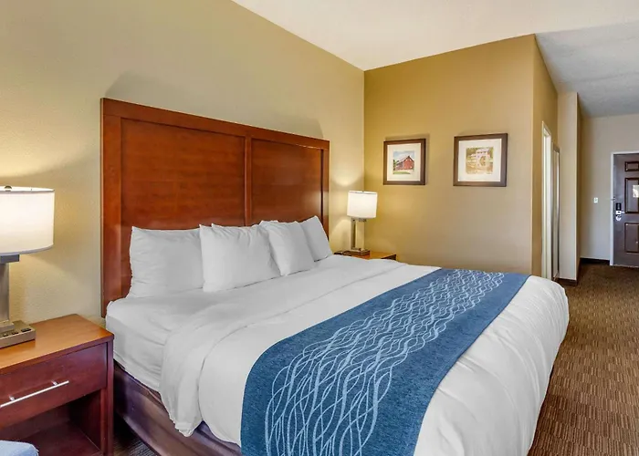 Comfort Near Casino District Rockford