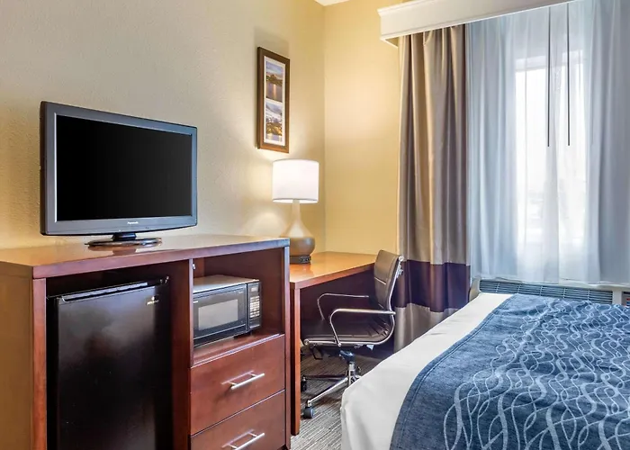 Hotel Comfort Near Casino District