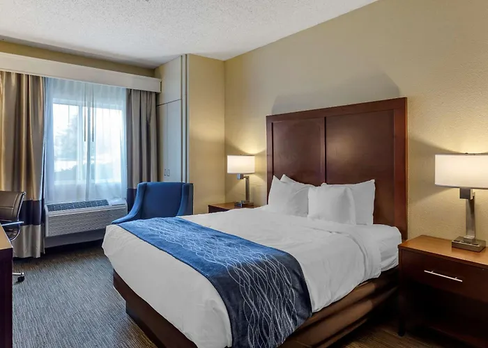Comfort Near Casino District Hotel 3*