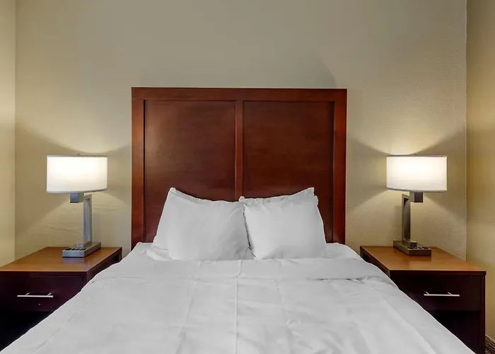 Comfort Near Casino District Hotel 3*