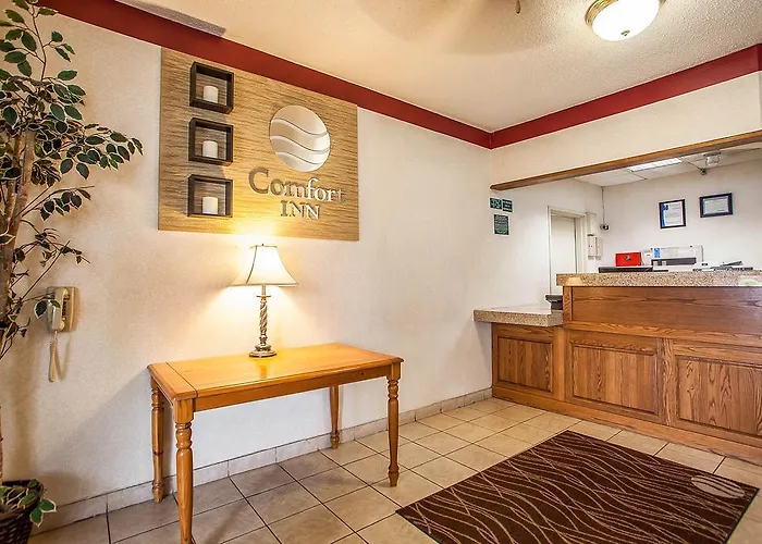 Comfort Near Casino District Hotel 3*