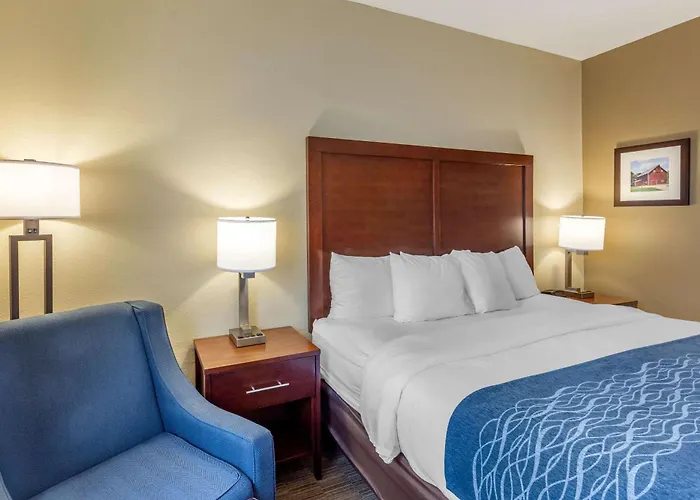 Comfort Near Casino District Hotel