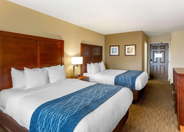Comfort Near Casino District Rockford