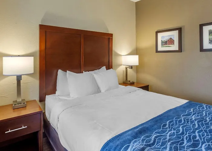 Hotel Comfort Near Casino District