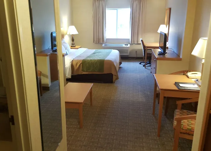 Hotel Comfort Near Casino District