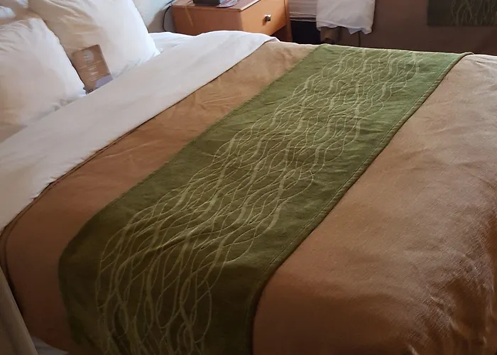 Comfort Near Casino District 3*