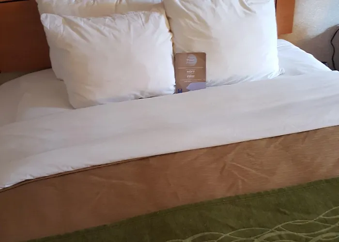 Hotel Comfort Near Casino District