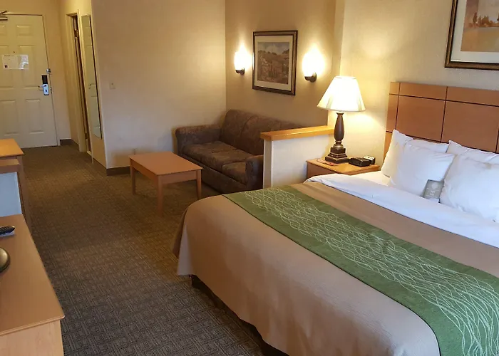 Comfort Near Casino District 3*