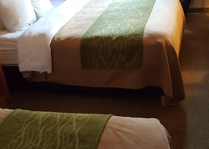Comfort Near Casino District Hotel 3*