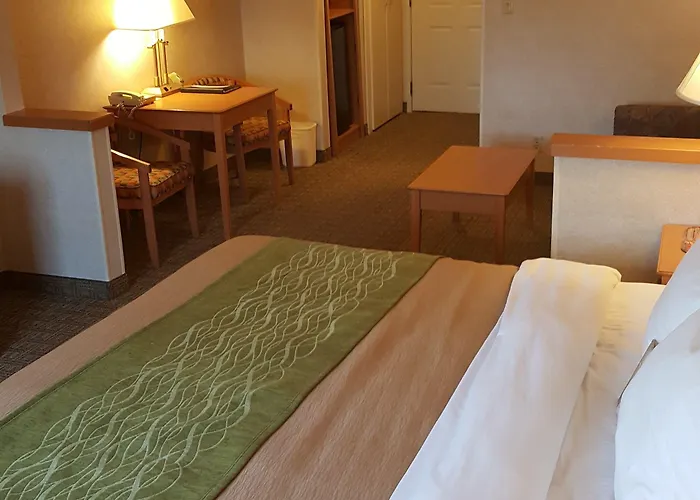 Hotel Comfort Near Casino District