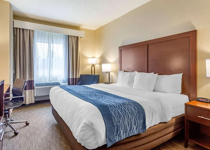 Comfort Near Casino District 3*