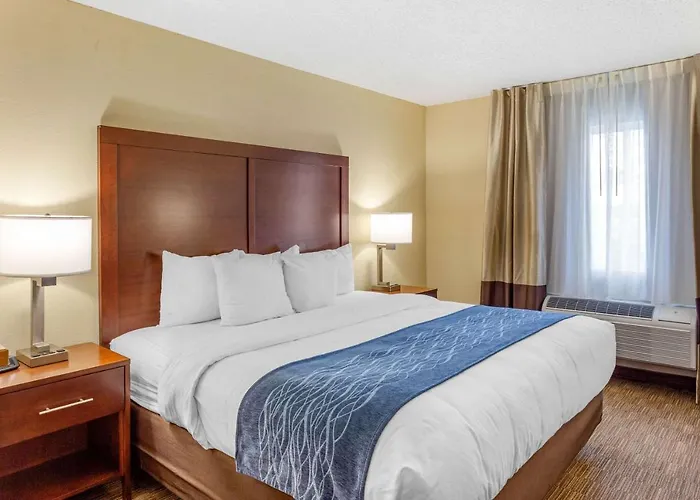 Comfort Near Casino District Hotel