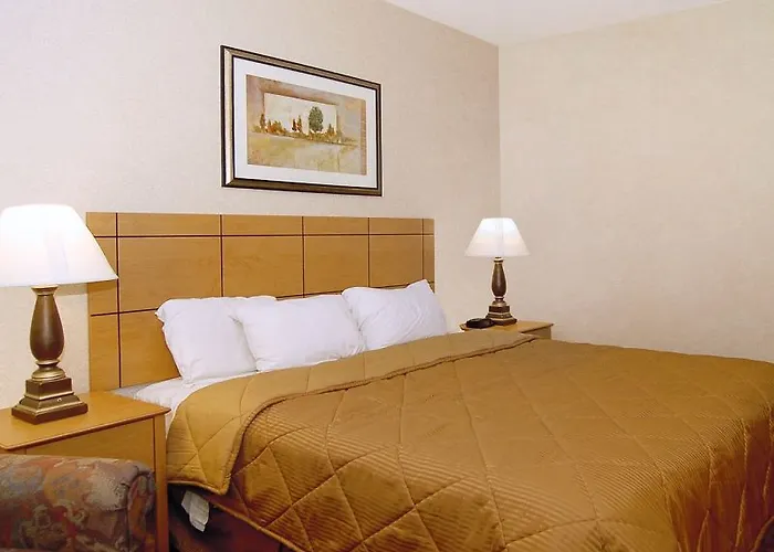 Hotel Comfort Near Casino District 3*